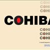 Cigar Box - Cohiba - Pequeno Black